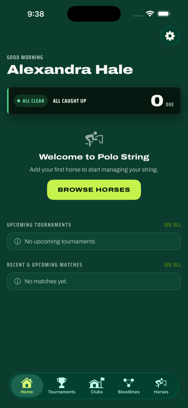 Polo String dashboard