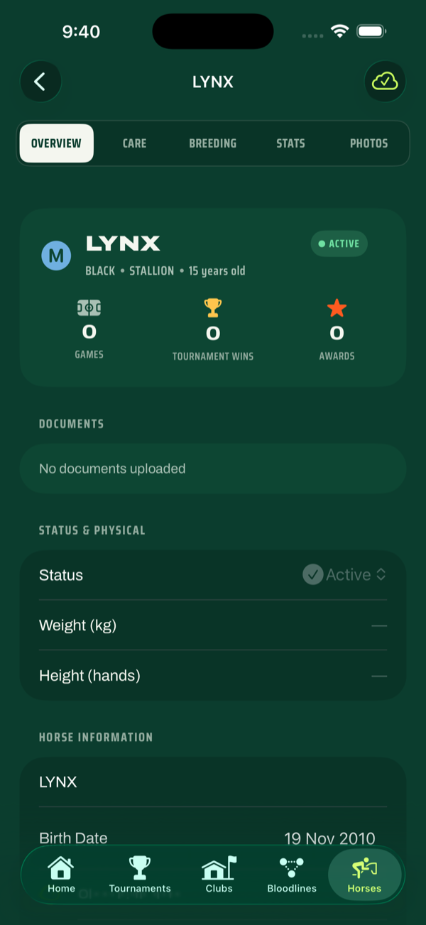 Horse profile in Polo String
