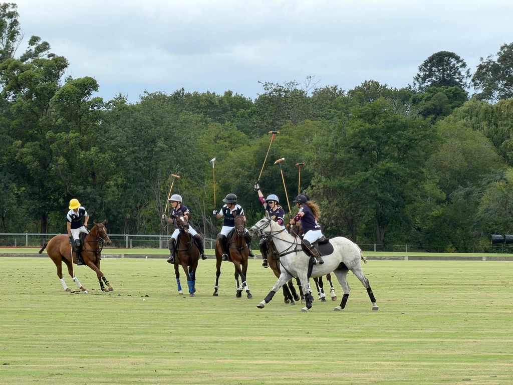 Polo match in action